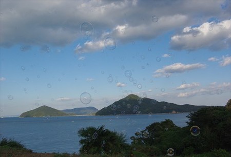 IMGP4414_1103