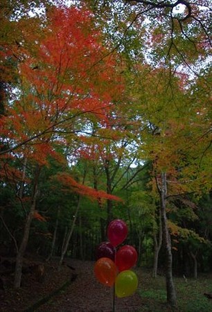 IMGP5099_1108