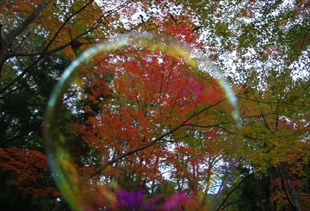 IMGP5174_1108