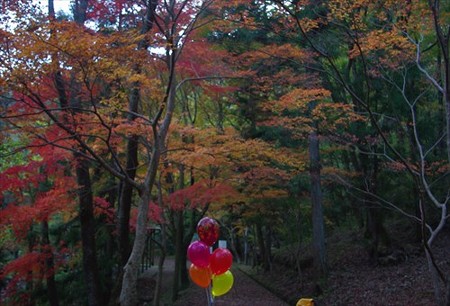 IMGP6184_1116