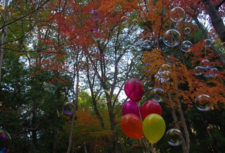 IMGP6307_1116