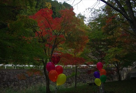 IMGP6523_1116