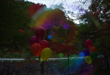 IMGP6559_1116
