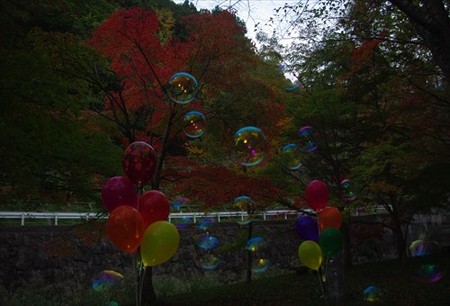 IMGP6565_1116