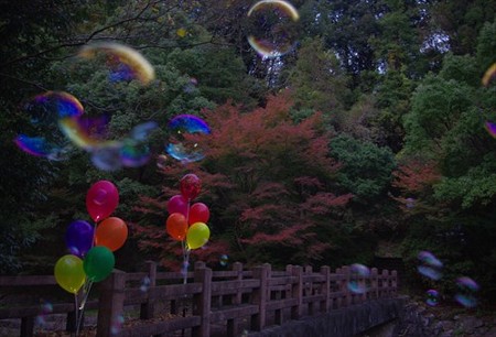 IMGP6577_1116