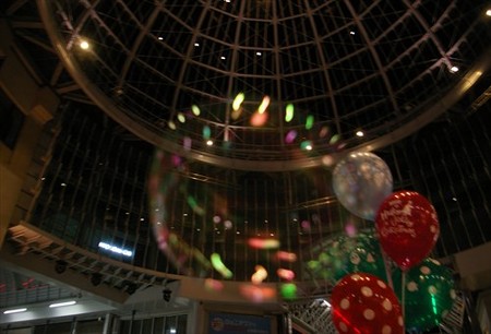 IMGP8461_1116