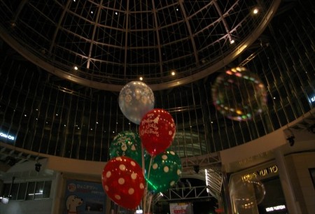 IMGP8464_1116
