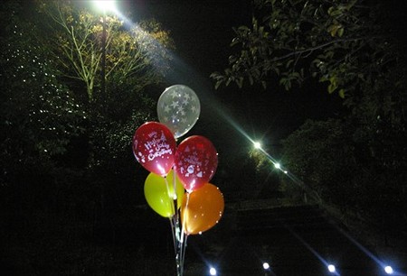 IMGP8524_1119