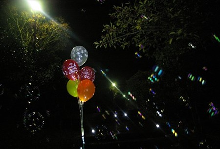 IMGP8673_1119