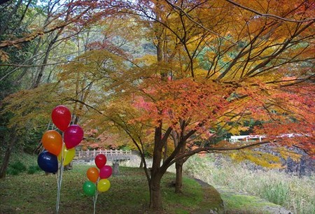 IMGP6745_1122