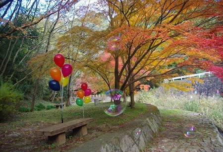 IMGP6761_1122