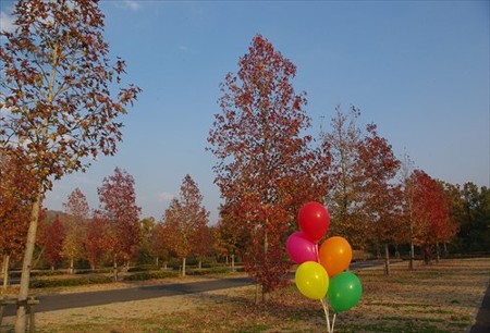 IMGP7318_1122