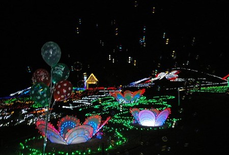 IMGP8914_1122