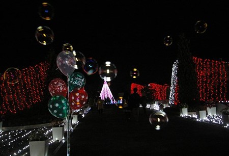 IMGP8949_1122
