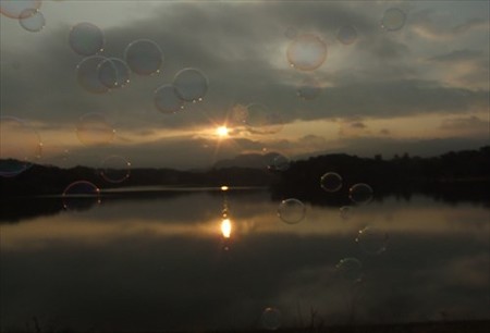DSCF0521_1129