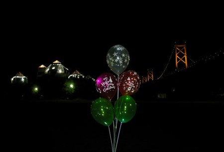 IMGP9311_1129