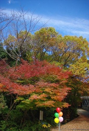 IMGP8839_1130