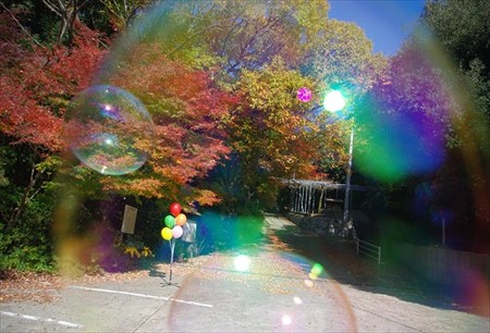 IMGP8872_1130