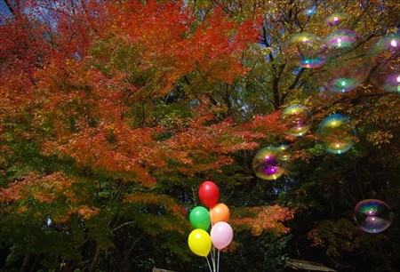 IMGP8942_1130