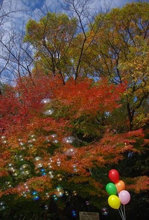 IMGP8958_1130