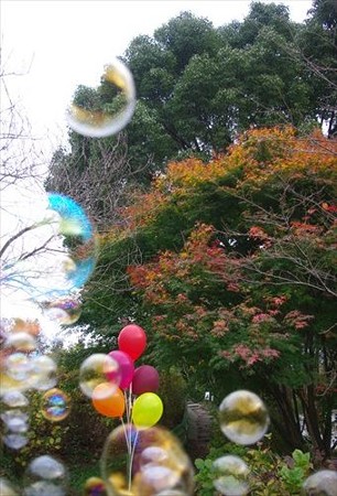 IMGP9057_1130
