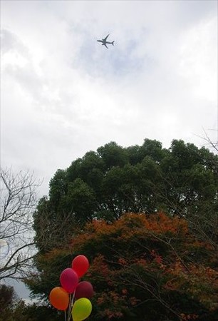 IMGP9127_1130