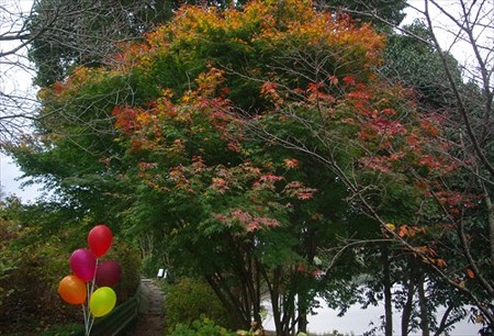 IMGP9144_1130