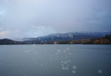 IMGP9528_1206