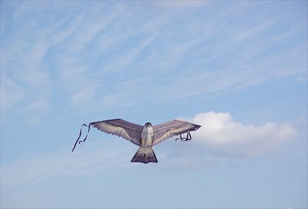IMGP9873_1207