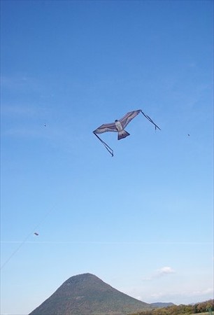 IMGP9875_1207