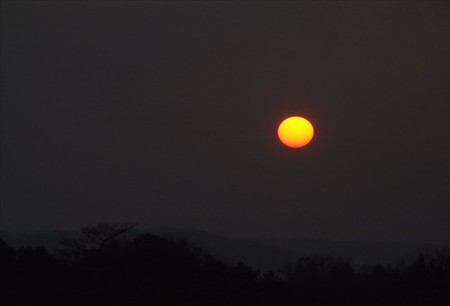 DSCF1067_1230