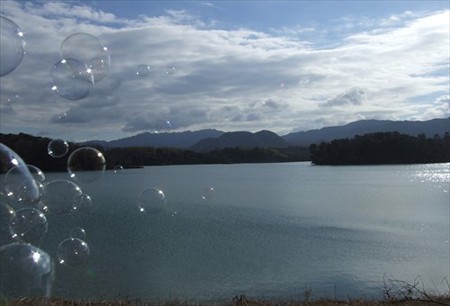 DSCF1186_0103