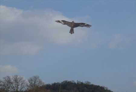 DSCF1420_0110