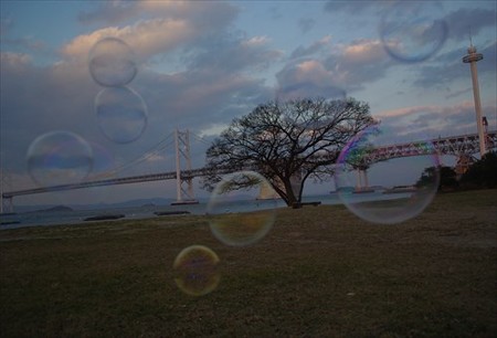 IMGP1647_0110