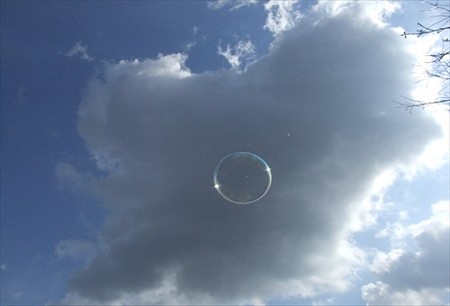 DSCF1561_1104