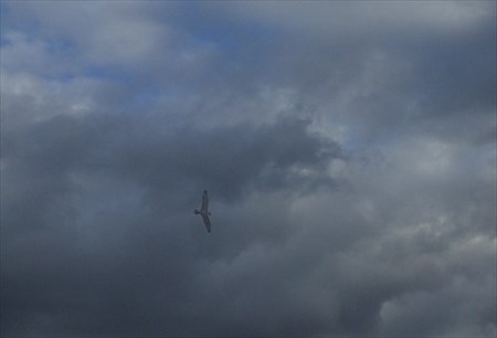 DSCF1667_0112