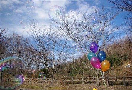 IMGP2260_0118