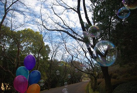 IMGP2377_0118