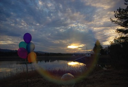 IMGP2650_0118