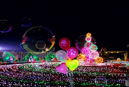 IMGP1560_0207
