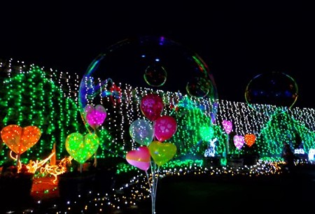 IMGP1621_0207