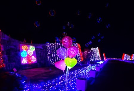 IMGP1657_0207