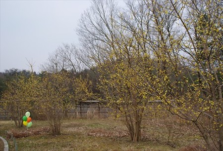 IMGP3926_0215