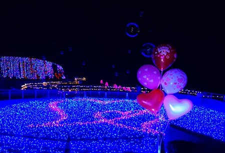 IMGP2964_0215
