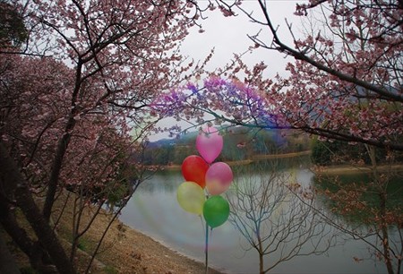 IMGP4077_0221