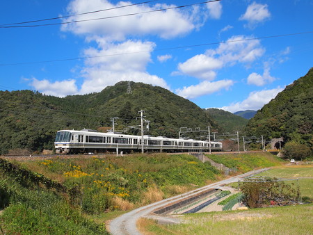 221系普通 山陰本線馬堀~保津峡04