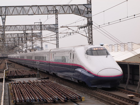 E2系とき 上越新幹線大宮駅02