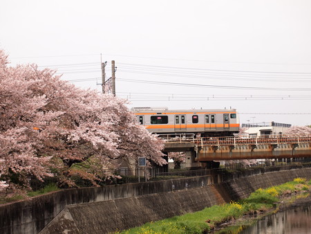 E233系 中央本線日野~立川04