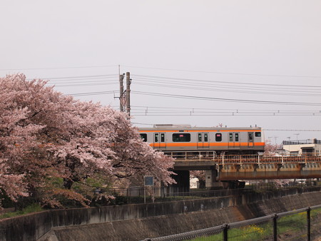 E233系 中央本線日野~立川05
