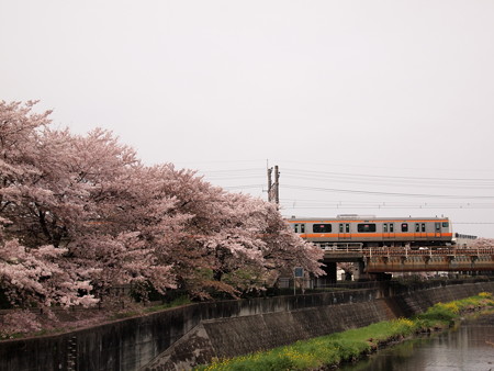 E233系 中央本線日野~立川07